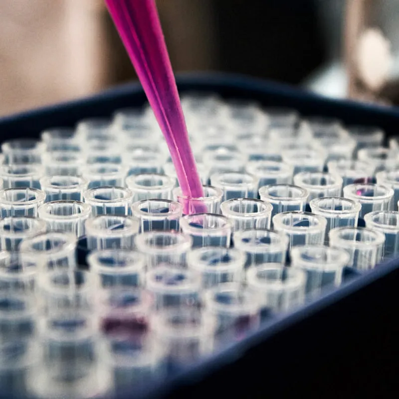 London drug and alcohol testing prices