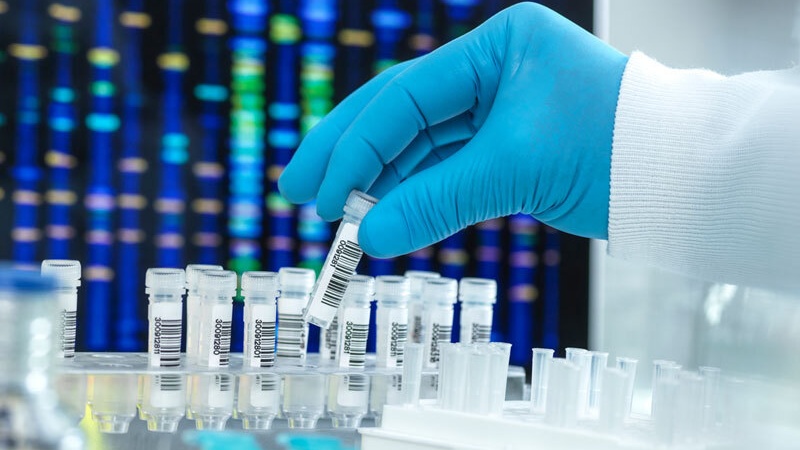 How to Get a Legal DNA Test in the UK | DNA Testing Clinics