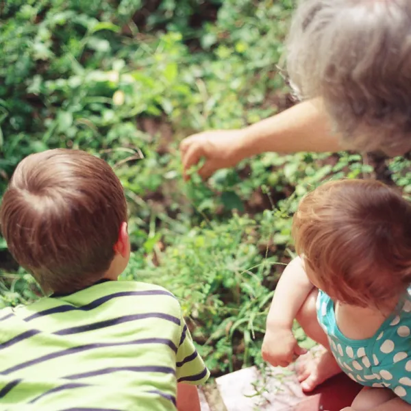 Grandparent DNA Testing