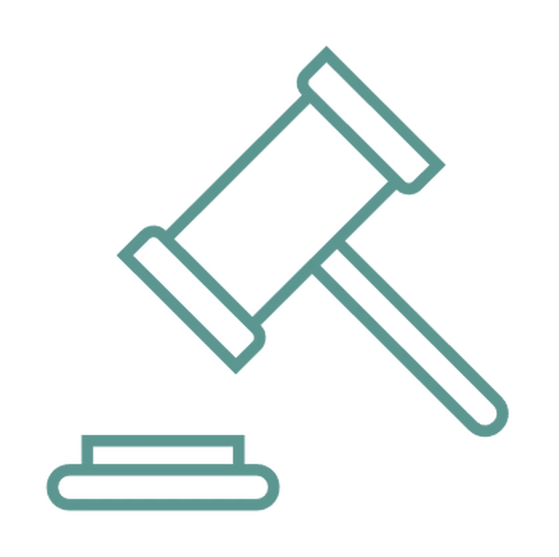 Legal DNA testing icon