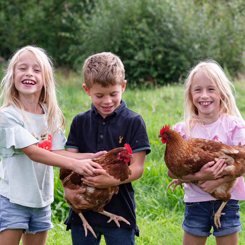 DNA testing, drug testing and medicals Crystal… Crystal Health